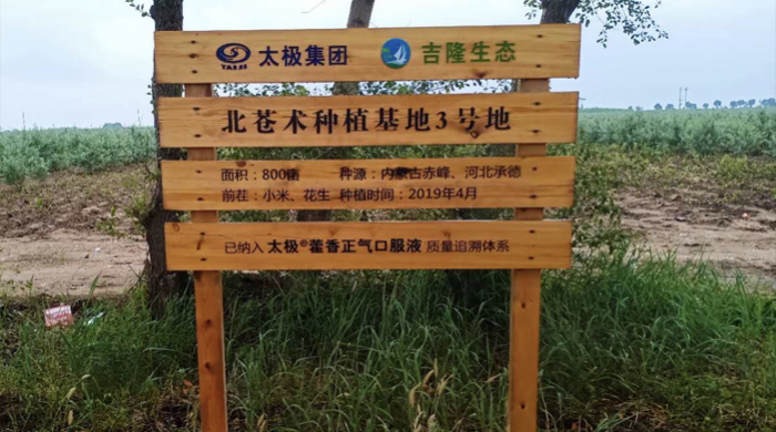 北蒼術(shù)種植基地3號地