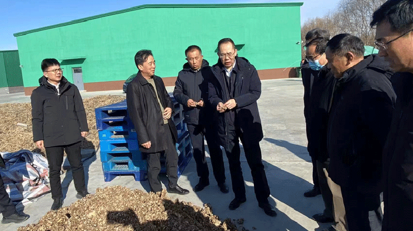 3月7日吉林省農業(yè)廳黨組成員、副廳長(cháng)鐘東，大安市副市長(cháng)楊昊諭，大安市農業(yè)農村局局長(cháng)朱寄銘等領(lǐng)導一行到吉隆沙棘參觀(guān)調研，詳細詢(xún)問(wèn)了2023年沙棘果及中藥材收獲和企業(yè)發(fā)展情況，對目前公司的發(fā)展和公司產(chǎn)品市場(chǎng)前景給予了高度肯定。